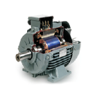 Asynchronous Motors